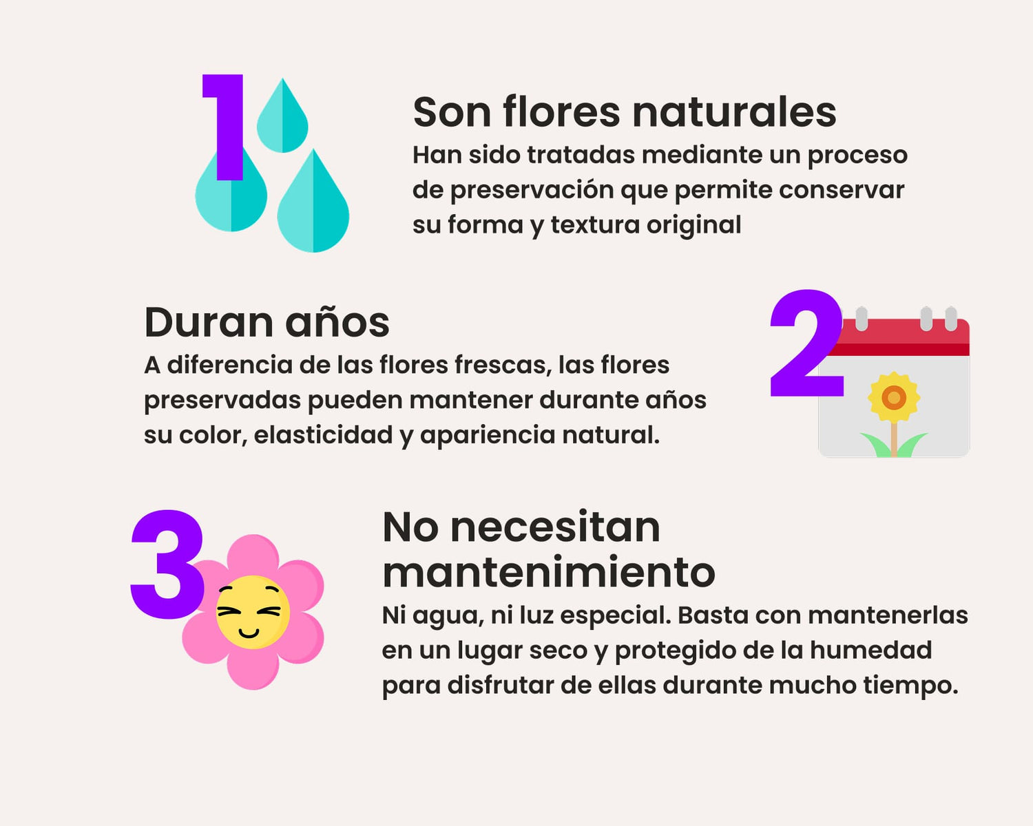¿Qué son las flores preservadas?