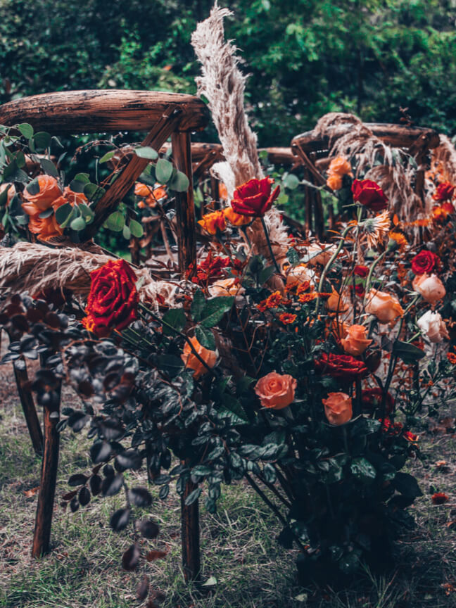 rosas rojas y naranjas sin cortar