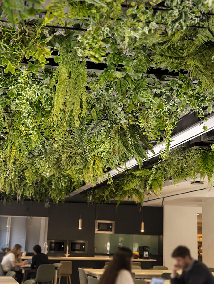 Techo vegetal suspendido en las oficinas de Glovo