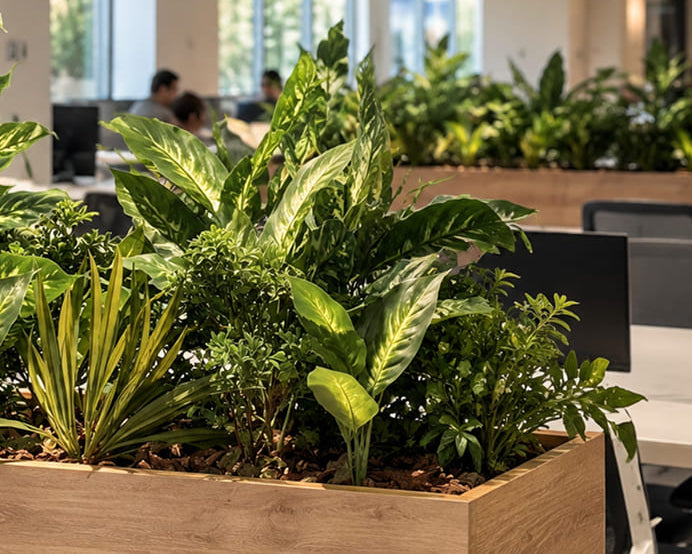 Jardineras y vegetación integrada en las oficinas de Seidor