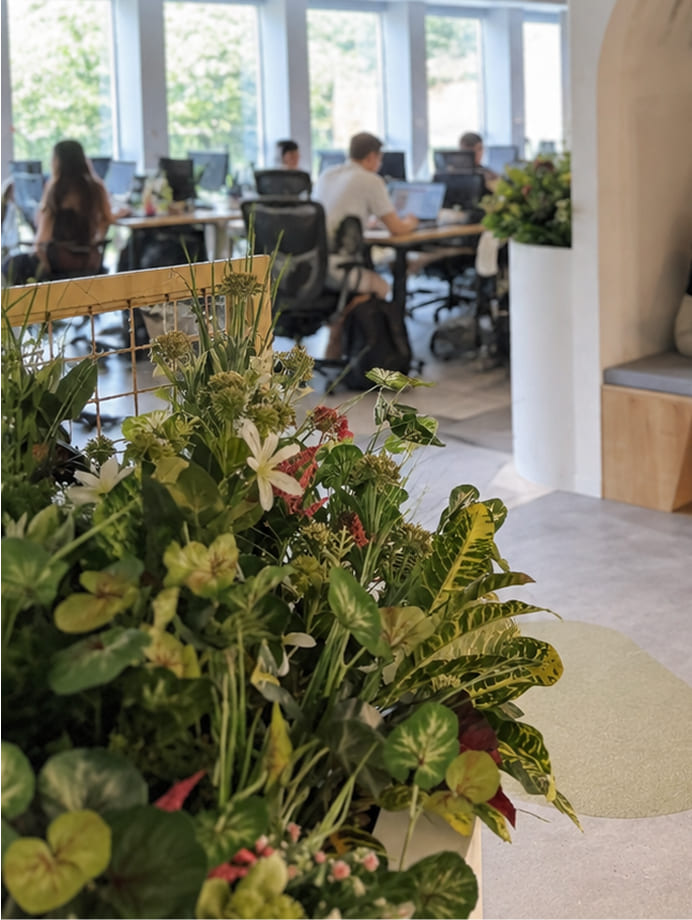 Decoración vegetal integrada en los espacios de trabajo de Glovo