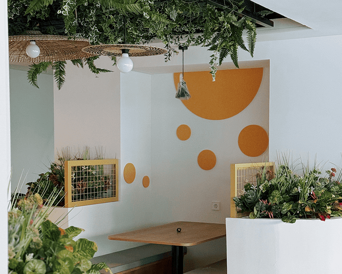 Proyecto de decoración vegetal en las oficinas de Glovo en Madrid